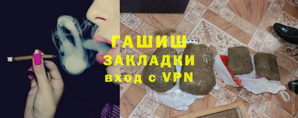 мет Алексин