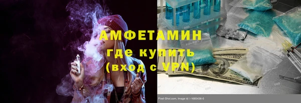 мет Алексин