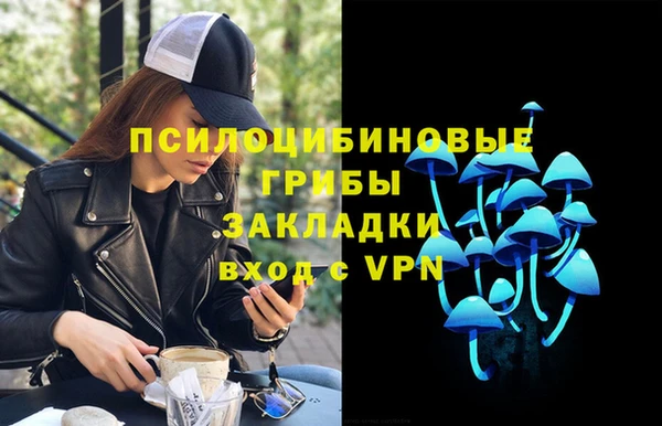 мет Алексин