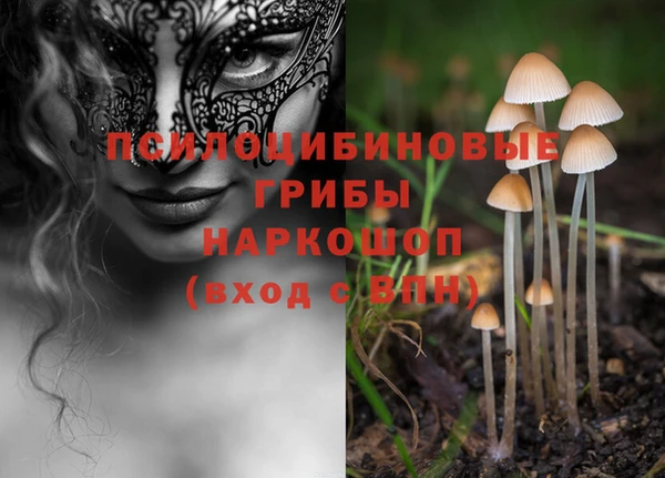 ALPHA-PVP Алексеевка