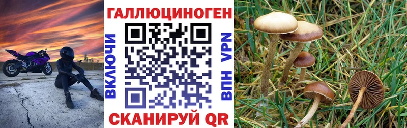 mega ONION  Приозерск  Галлюциногенные грибы прущие грибы 